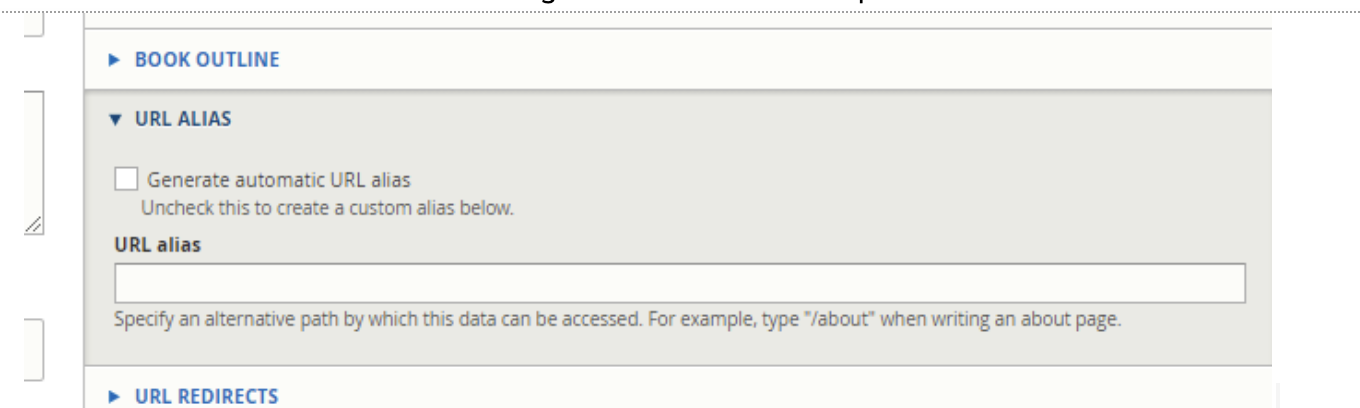 _images/cms-url-alias-empty.png